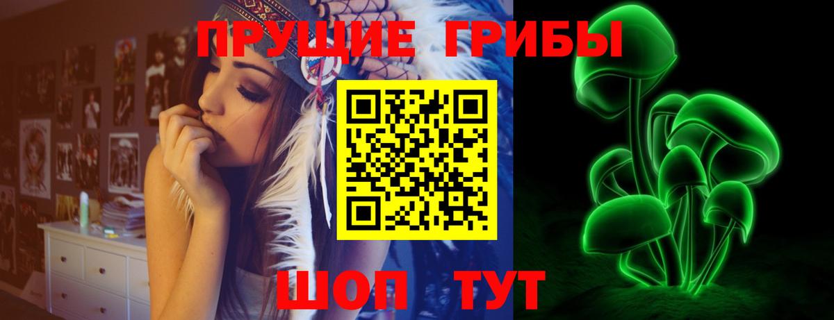 Псилоцибиновые грибы Psilocybe  Вход с VPN  Нововоронеж 